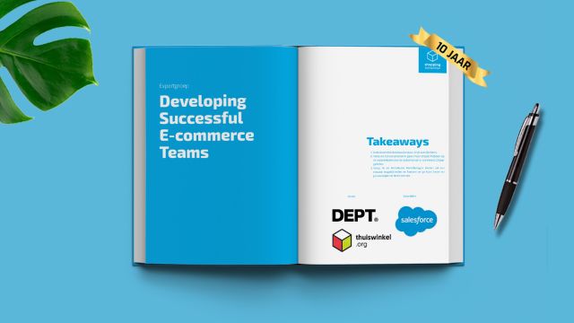 Developing Successful E-commerce Teams 2022